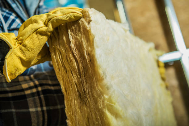 Best Wall Insulation Contractor  in Lower Grand Lagoon, FL
