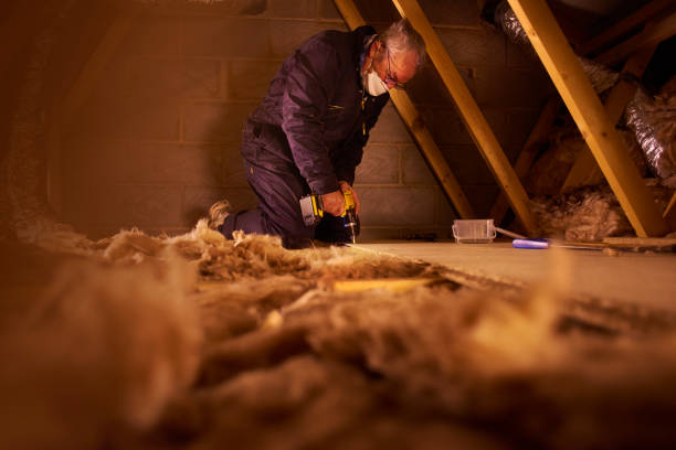 Best Insulation Removal  in Lower Grand Lagoon, FL